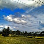 Suasana di Kampung Halamanan