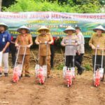 Program Tingkatkan Ketahanan Pangan Pemkab Pemalang dan Polres Tanam Jagung