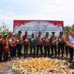 Dukung Swasembada Pangan Nasional, Gugus Tugas Polres Tanjab Timur, Laksanakan Panen Raya Jagung Serentak Bersama Bapak Presiden Republik Indonesia