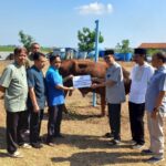Perumda Tirta Mulia Berbagi Berkah Idul adha, Kurban 40 Hewan di Pemalang