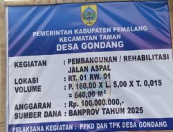 Kualitas Aspal Proyek Rp100 Juta di Desa Gondang Disorot, Diduga Tak Sesuai Spek