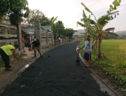 Genjot Kesejahteraan Warga Pemalang: Bupati Anom Tuntaskan Peningkatan Infrastruktur Jalan Sentra Nanas Madu Belik