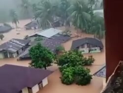 30 Ribu Hektare Lahan Pertanian Terimbas Banjir Sumatra, Kementan Siapkan Pemulihan