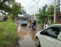 Bak Medan Perang, Jalur Provinsi Kalijambe–Jenggul Tegal Rusak Parah: Warga Desak Perbaikan Segera!