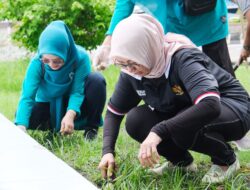 Dukung Misi Rhapsodi Bupati, Bunda Literasi Pemalang Pimpin Aksi Bersih Taman PKK