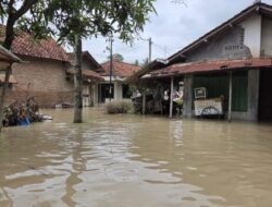Sungai Comal Meluap, Seluruh Wilayah Desa Pesantren Ulujami Terendam Banjir