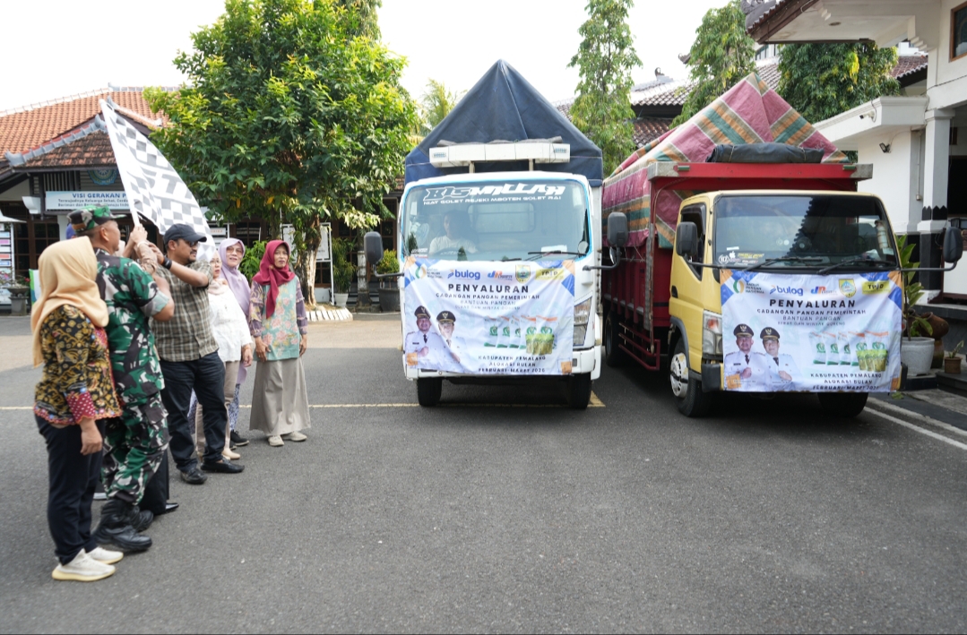 d3091c9088fc79a600e8f63beb201d18af30326a76352b93b6d039ca8ce03649.0