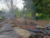 Polres Pemalang dan Jajaran Polsek Comal Bongkar Lokasi Sabung Ayam di Sikandang
