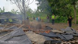 Polres Pemalang dan Jajaran Polsek Comal Bongkar Lokasi Sabung Ayam di Sikandang 2 IMG 20260530 WA0005