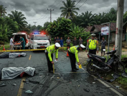 Kecelakaan Maut di Jalan Lintas Nibung Putih Tanjab Timur, Seorang Pengendara Motor Tewas di Tempat