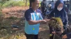Penataan Kavling No. 27: Langkah UPPL DPUPR Pemalang Perindah Estetika Kota 7 Penataan Kavling No. 27: Langkah UPPL DPUPR Pemalang Perindah Estetika Kota