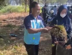Penataan Kavling No. 27: Langkah UPPL DPUPR Pemalang Perindah Estetika Kota