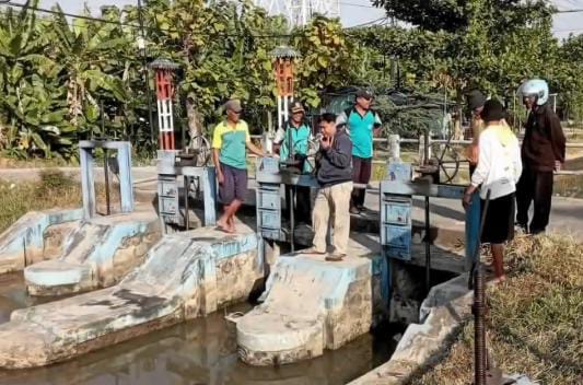 Antisipasi Kemarau, Distribusi Air Irigasi di Petarukan dan Comal Timur Dijaga Ketat