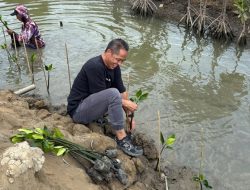 Aksi Nyata Lingkungan: PT Longwell dan New Balance Tanam 1.000 Mangrove di Desa Mojo